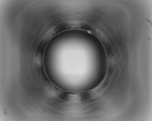 X0000099300170200805021239