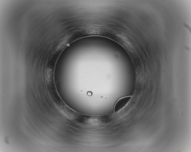 X0000099300171200805021239