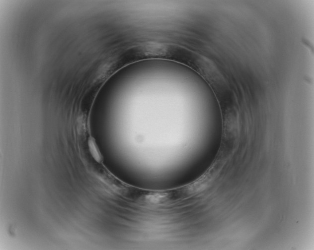 X0000099300172200805021239