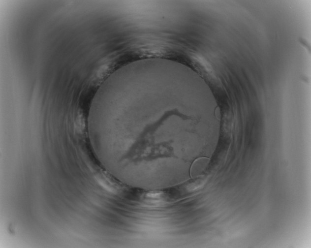 X0000099300173200805021239