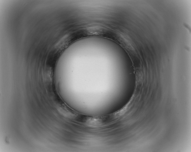 X0000099300174200805021239