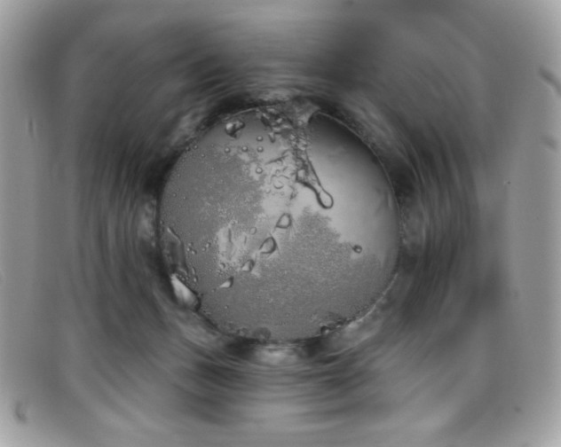 X0000099300175200805021239