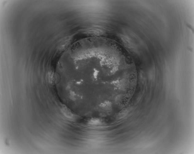 X0000099300177200805021239