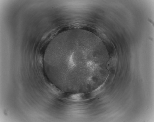 X0000099300178200805021239