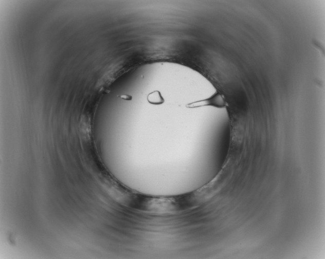 X0000099300179200805021239