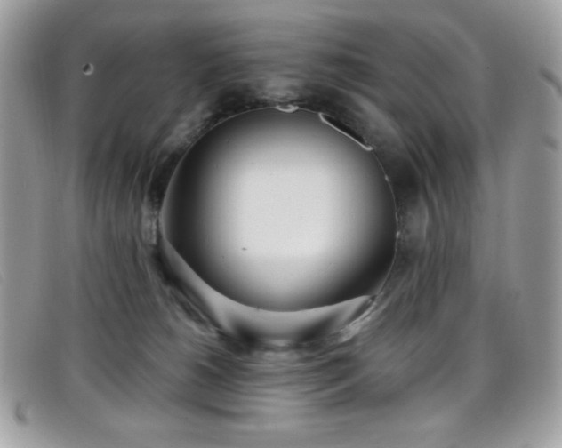 X0000099300180200805021239