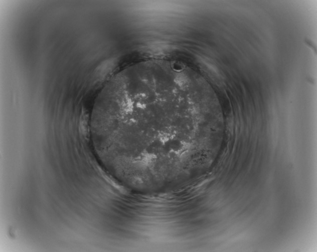 X0000099300181200805021239