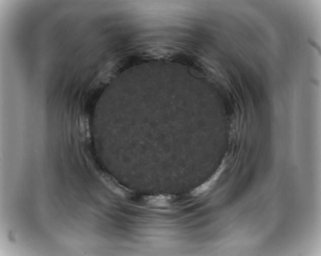 X0000099300182200805021239