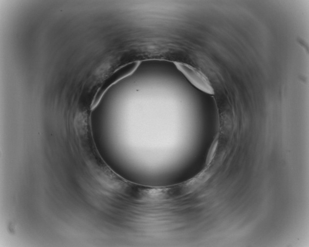 X0000099300184200805021239