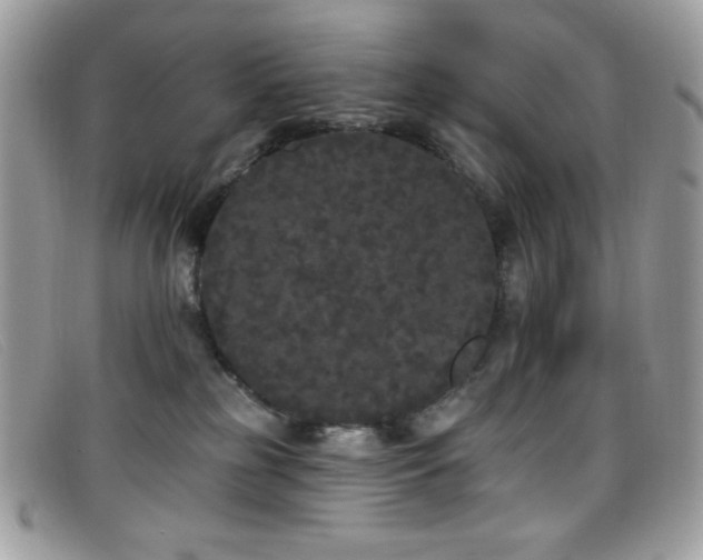 X0000099300185200805021239