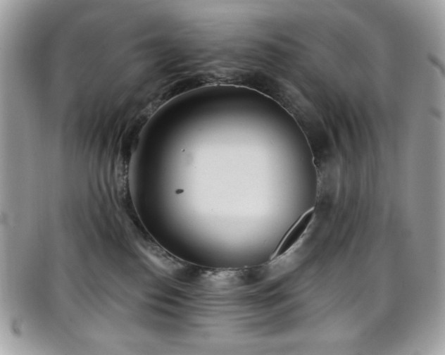 X0000099300186200805021239