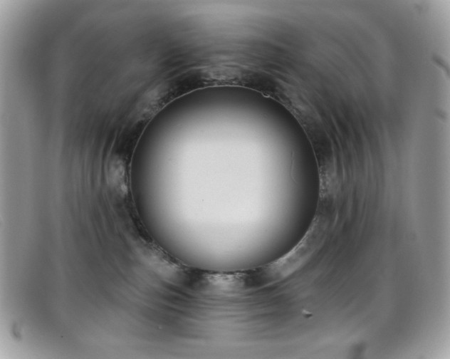 X0000099300187200805021239