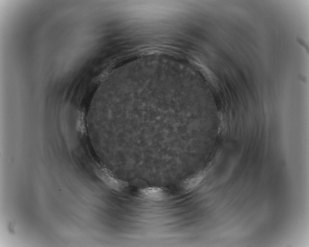 X0000099300189200805021239