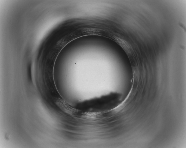 X0000099300190200805021239