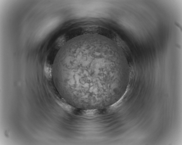 X0000099300191200805021239