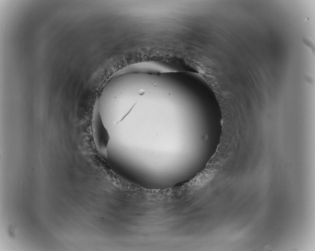 X0000099300192200805021239