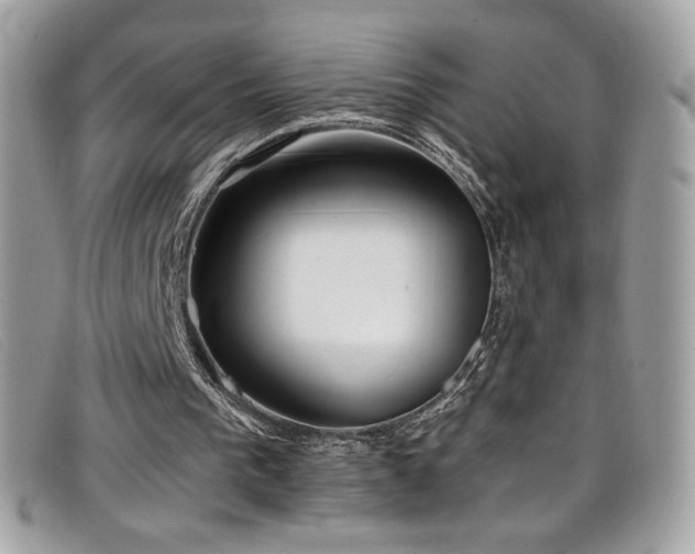 X0000099300193200805021238