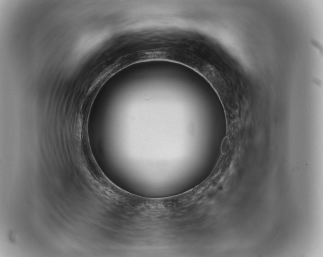 X0000099300194200805021238