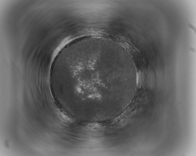 X0000099300195200805021238