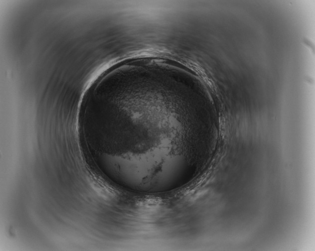 X0000099300196200805021238