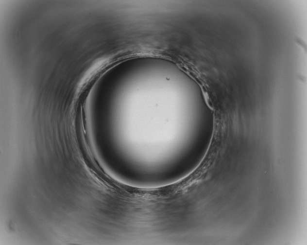 X0000099300197200805021238