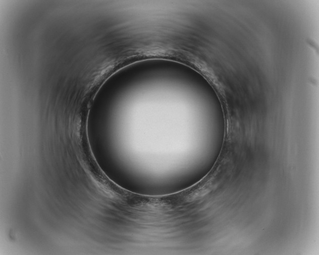 X0000099300201200805021238