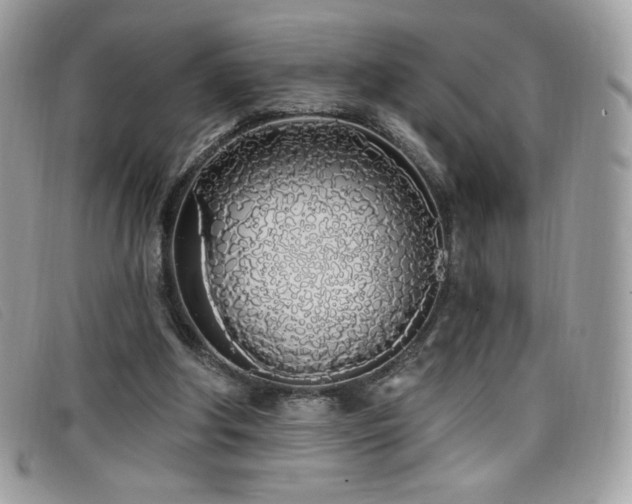 X0000099300202200805021238