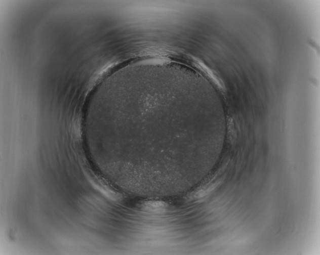 X0000099300203200805021238