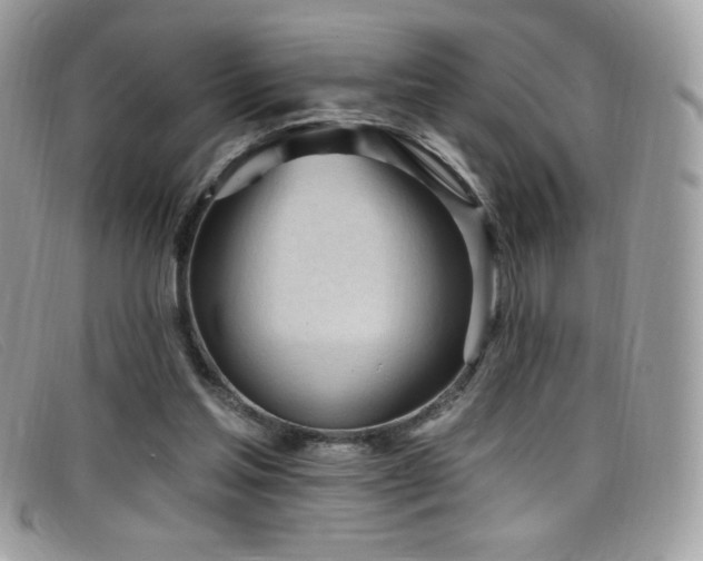 X0000099300205200805021238