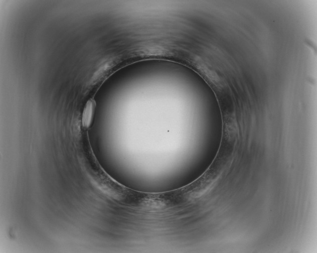 X0000099300207200805021238