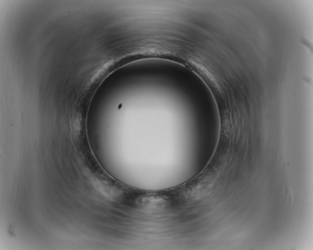 X0000099300208200805021238