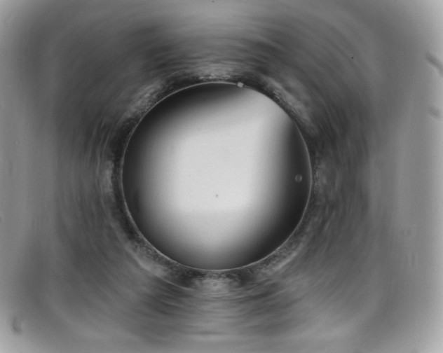 X0000099300209200805021238