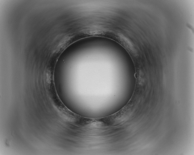 X0000099300210200805021238