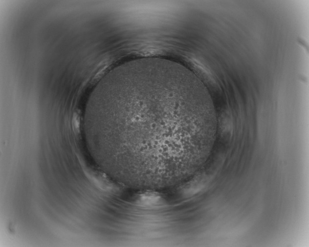 X0000099300214200805021238