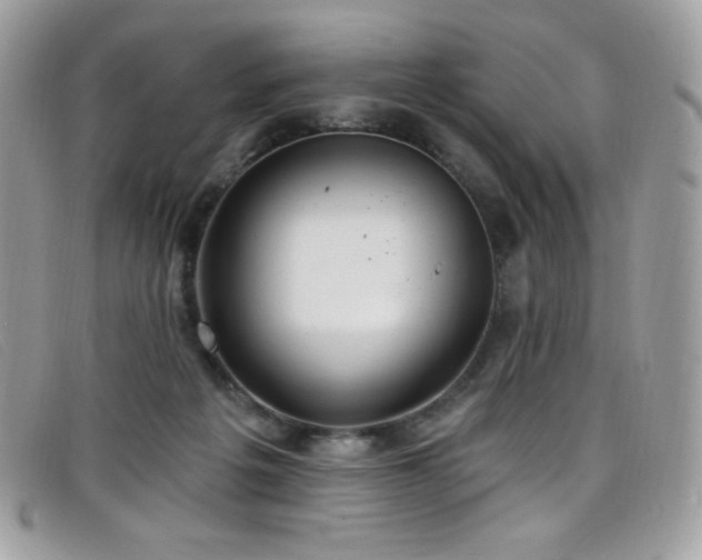 X0000099300217200805021238