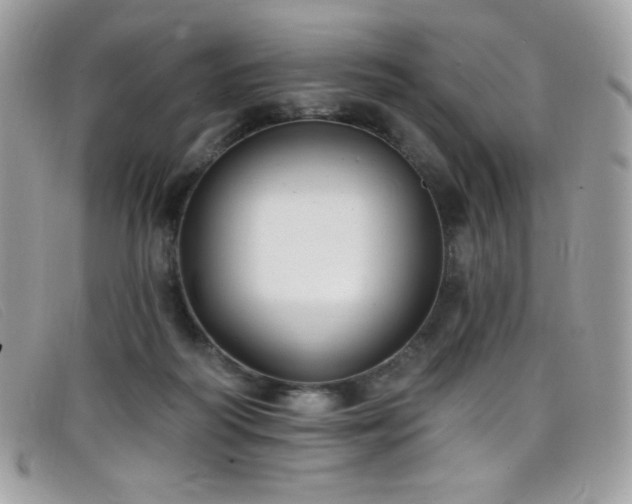 X0000099300218200805021238