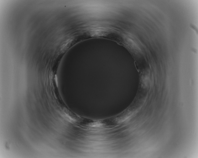 X0000099300219200805021238