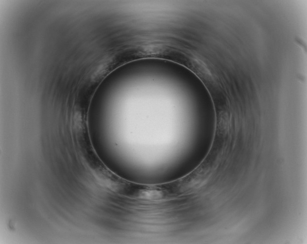 X0000099300220200805021238