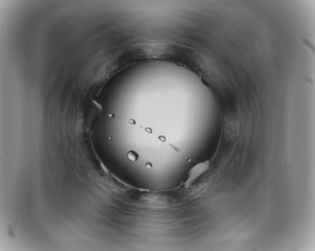 X0000099300221200805021238