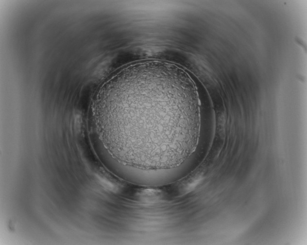 X0000099300222200805021238