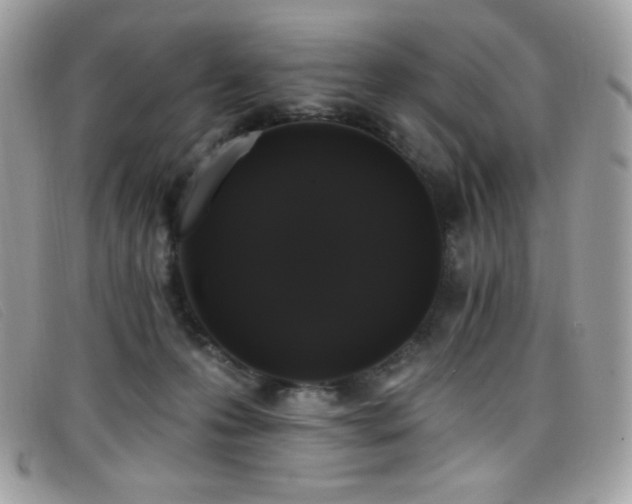 X0000099300223200805021238