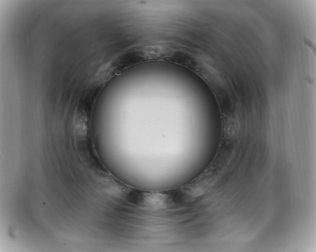 X0000099300226200805021238