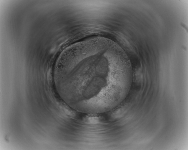 X0000099300228200805021238