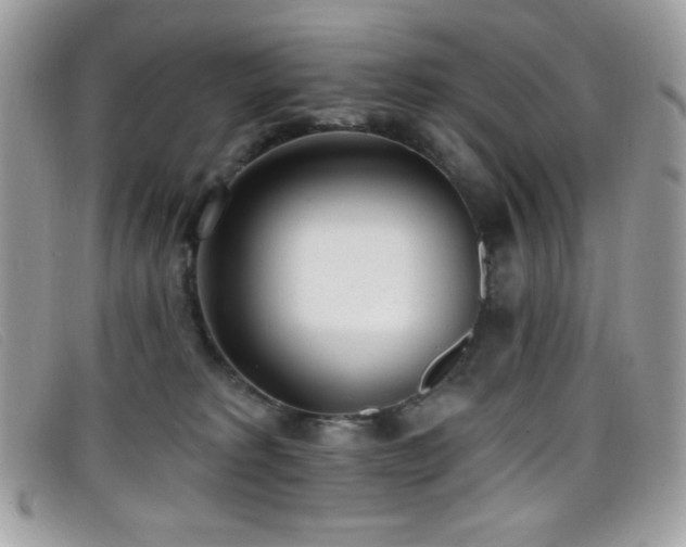 X0000099300229200805021238