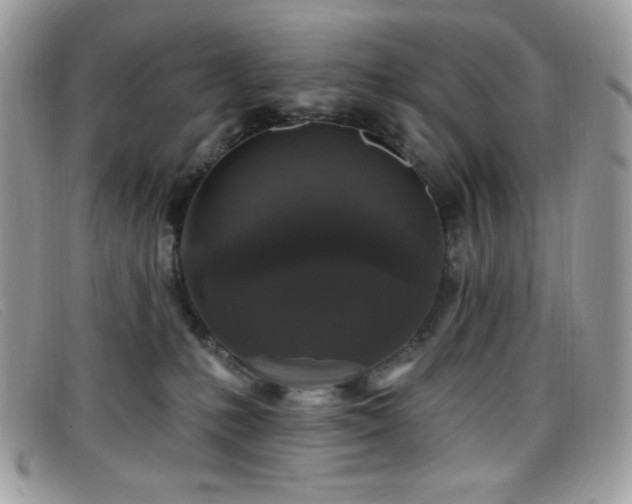 X0000099300231200805021238