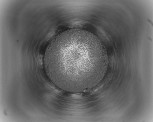 X0000099300232200805021238