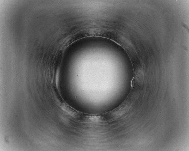 X0000099300233200805021238