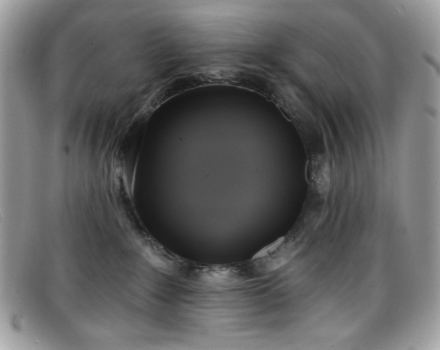 X0000099300235200805021238