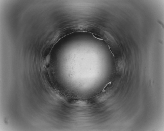 X0000099300236200805021238