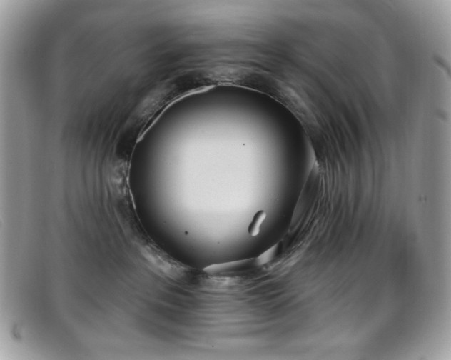 X0000099300237200805021238